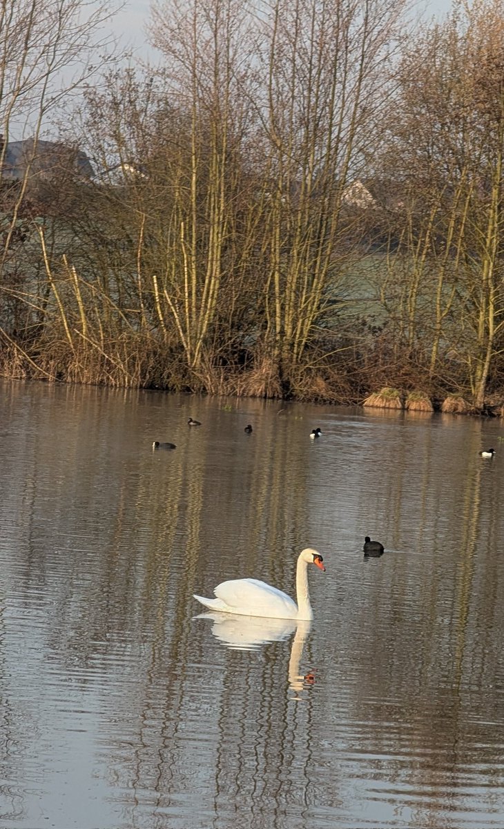 Lord Vadder tweet media