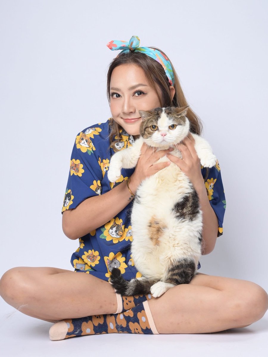 Catster & Co บ้านพักพิงแมวจร tweet media