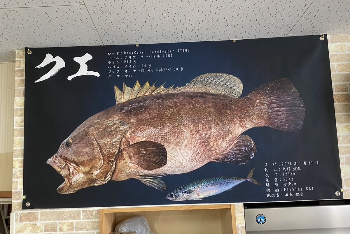 こ〜や🐟 tweet media