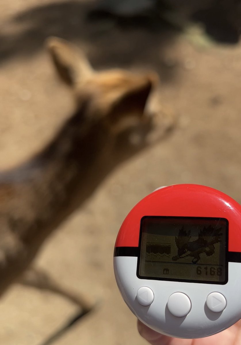 Shiny Catherine tweet media