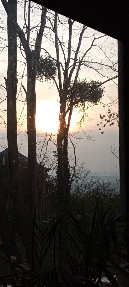 Ơɖ'iꙆɛ ɖɛ ʀé 💜🧡 Madame ₿itcoin tweet media