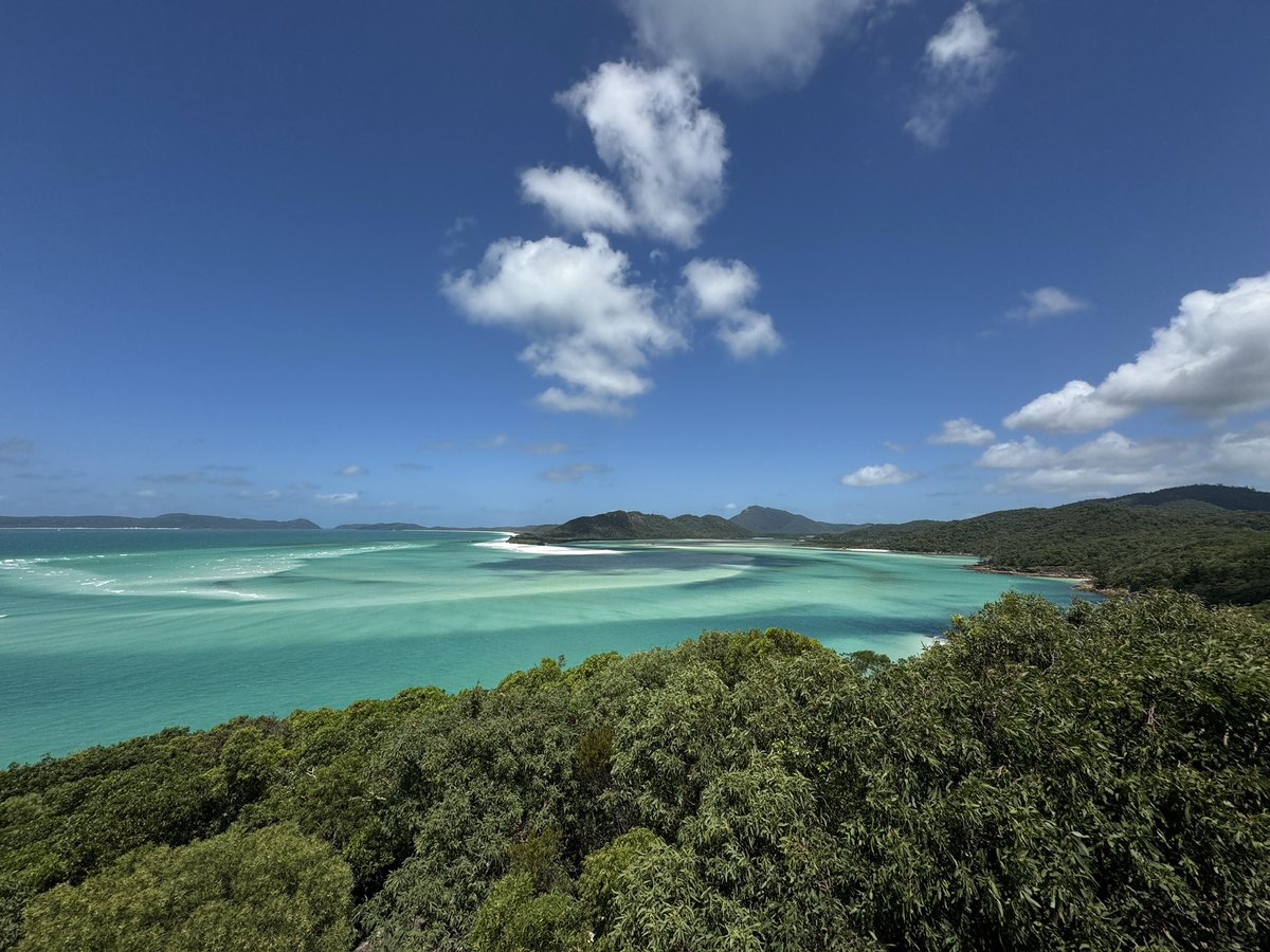 K. Szkoła tweet media