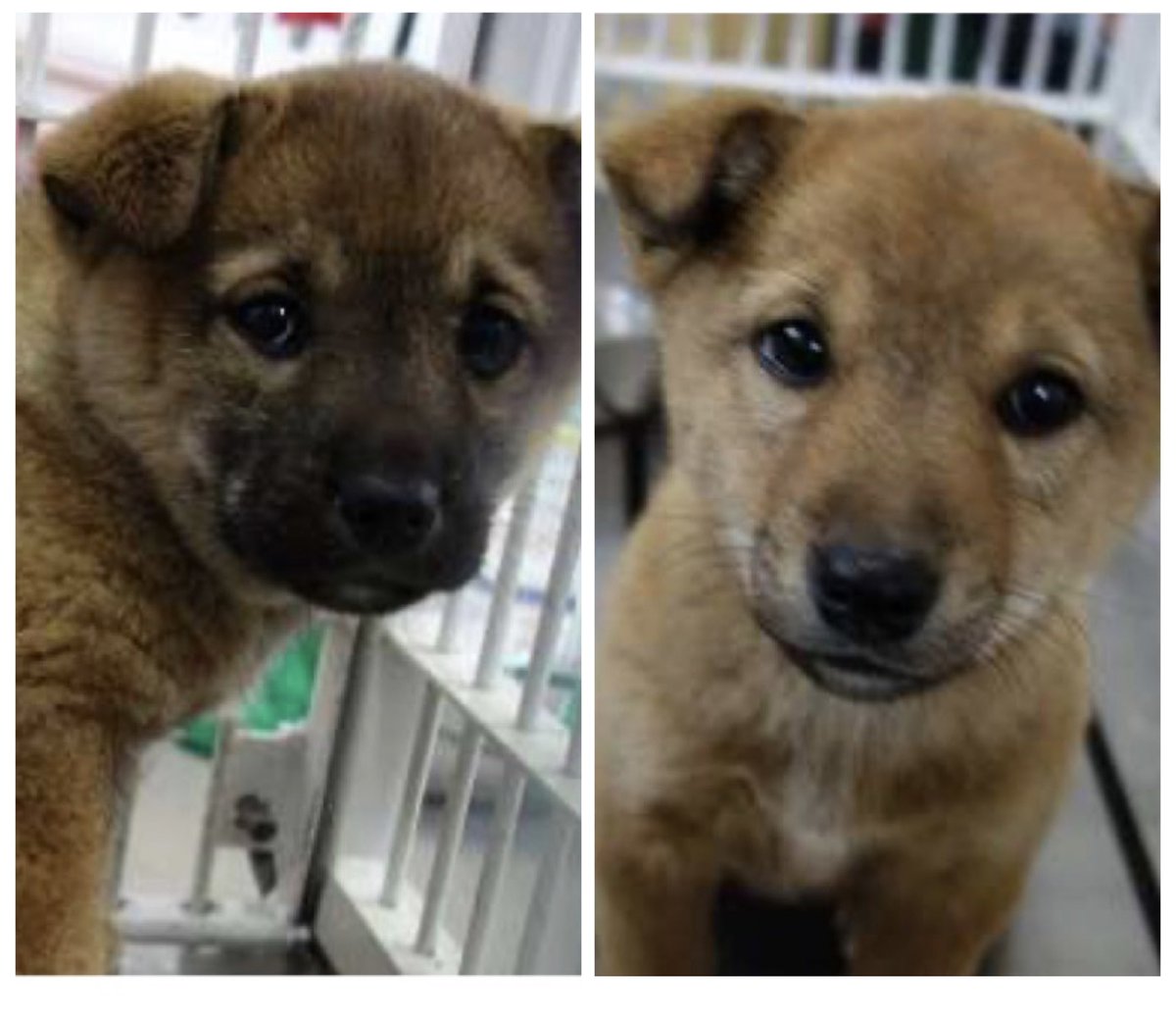 No more culling! tweet media