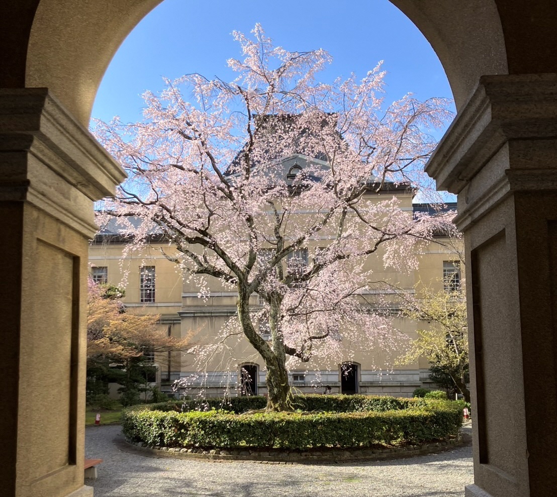 京都府広報課 tweet media