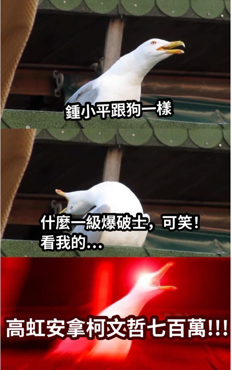 督頭 Dutall tweet media