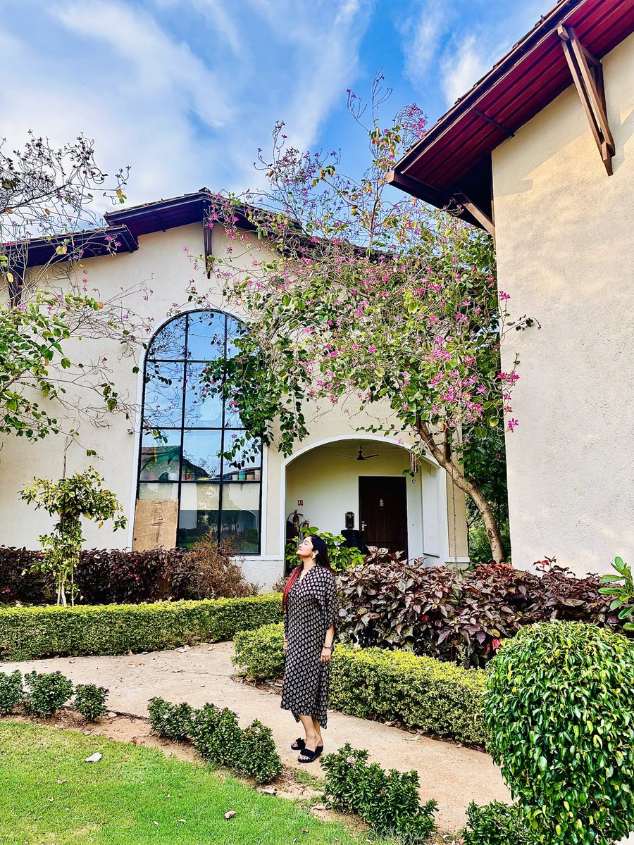 sayantani8's tweet photo. "Escape to nature's paradise 🌳
#bhanuThefernjambughoda
#BhanuForestResort #NatureLover #ResortVibes #yesterdaystory #traveldairies❤️ #gujrat
Day - 1 https://t.co/c2uwLNZ8zz