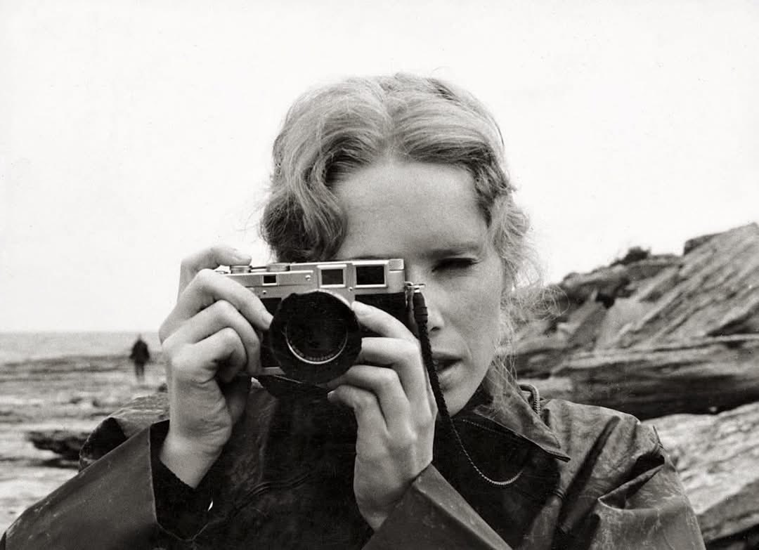 Wild at Heart tweet media