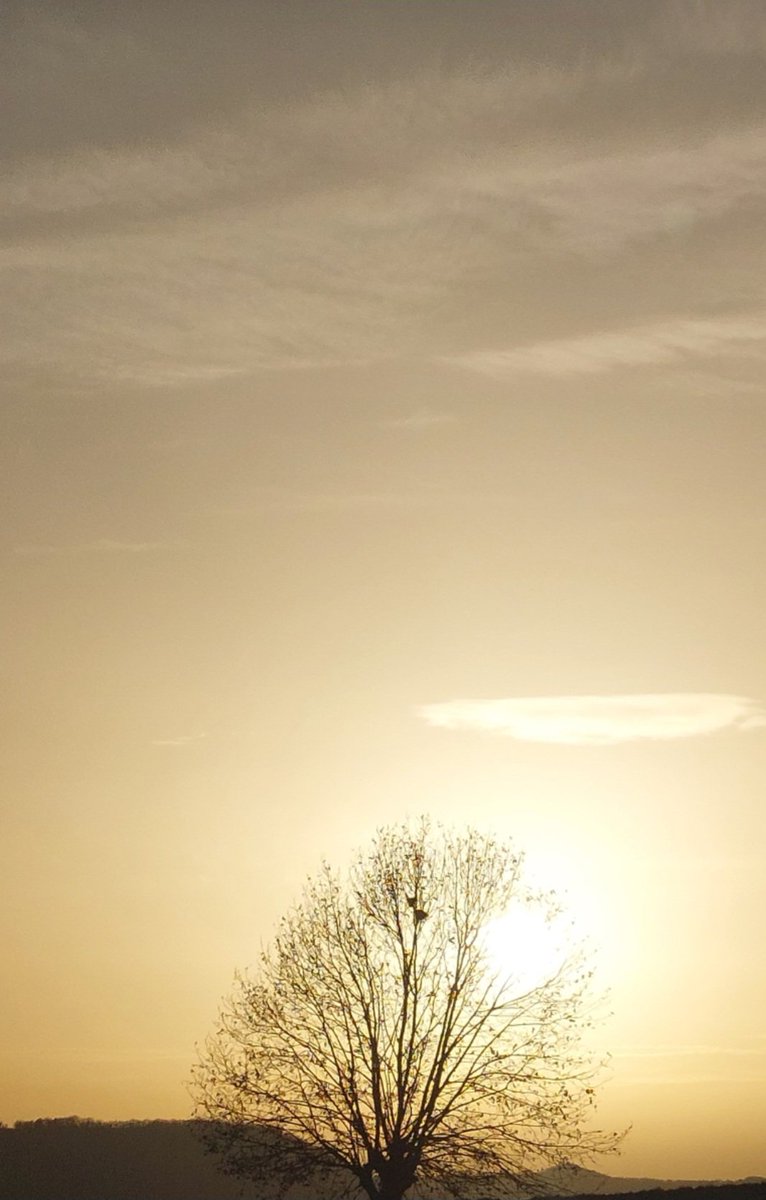 Perdona't per no saber abans el que només el temps podia ensenyar. Bon dia 🌝