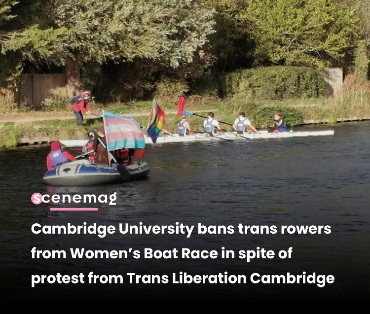 SEENinSport tweet media