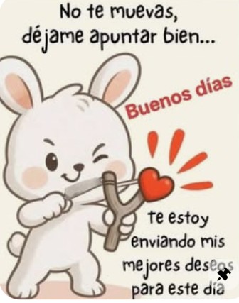 ElPistoleroRojono DM⛔⛔ tweet media