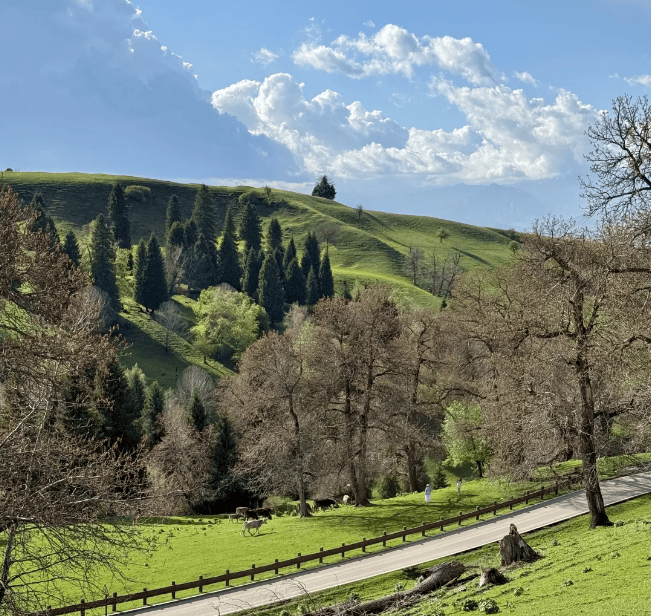 Anderson tweet media