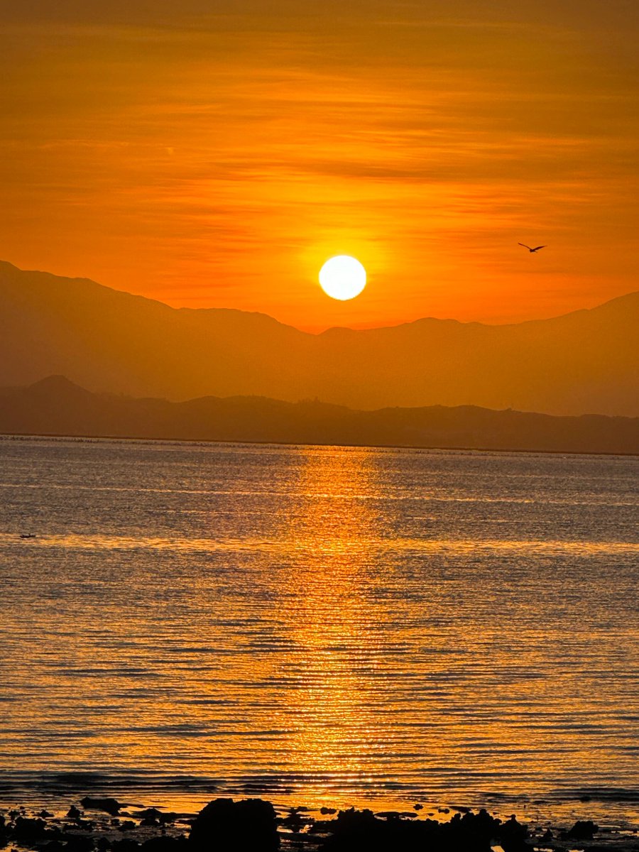 Lacheny Sylvain tweet media