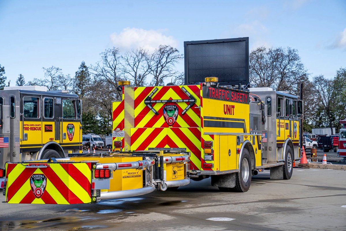 TeamBestioles tweet media