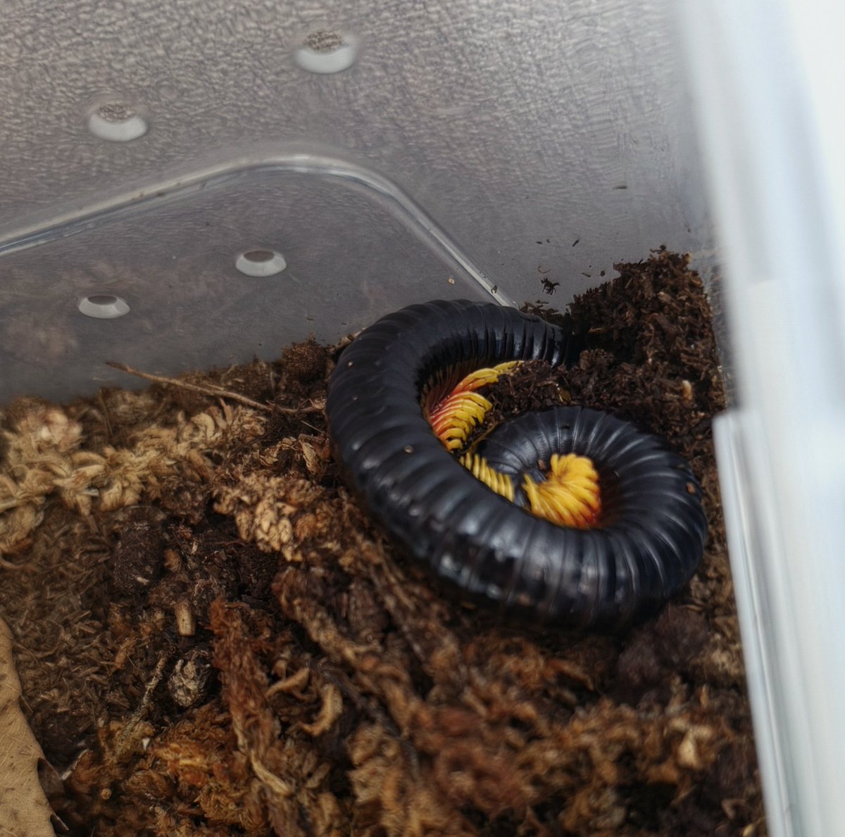 아기들사진올리는곳🐛 tweet media