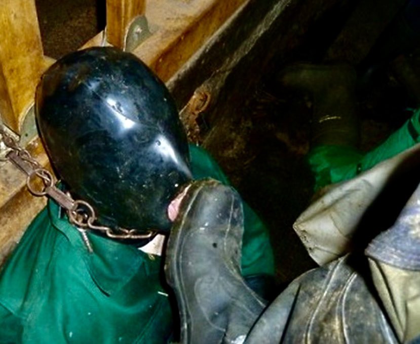 Tri(e)ste tweet media