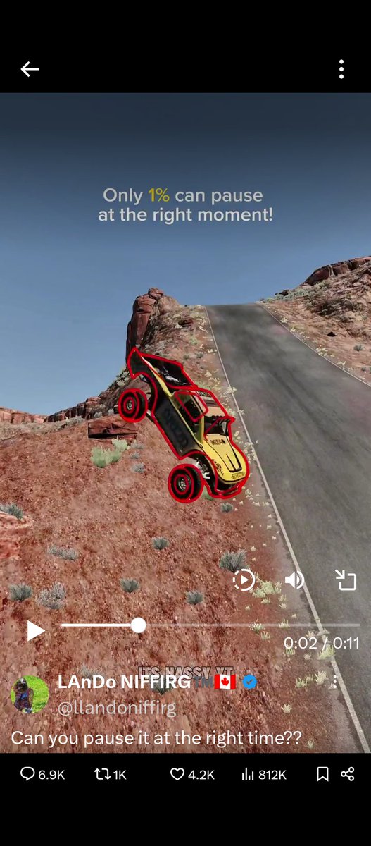 Lisa Fox tweet media