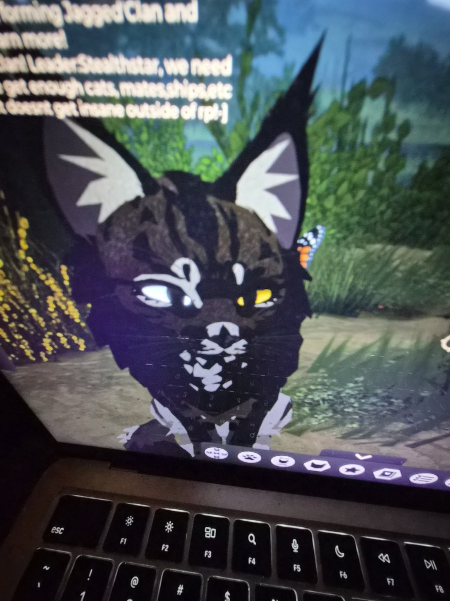 abby 🐾abby🐾 abby 🐾abb🐾y ab🐾by abbyh tweet media