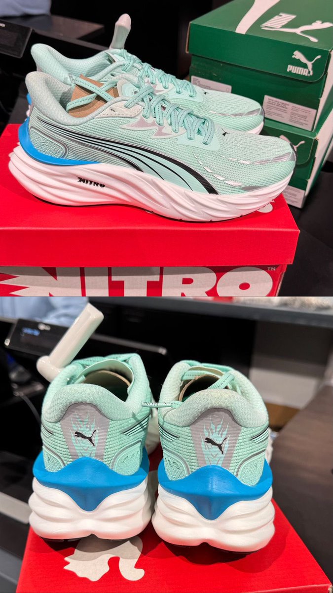 honeybee tweet media