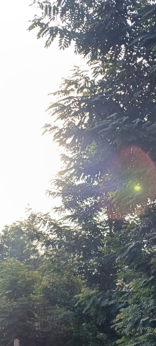 Zack 🦇 tweet media