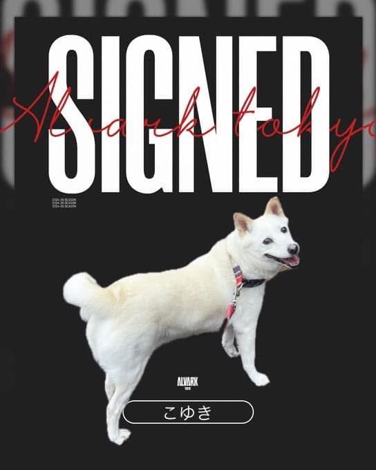 まゆだま tweet media