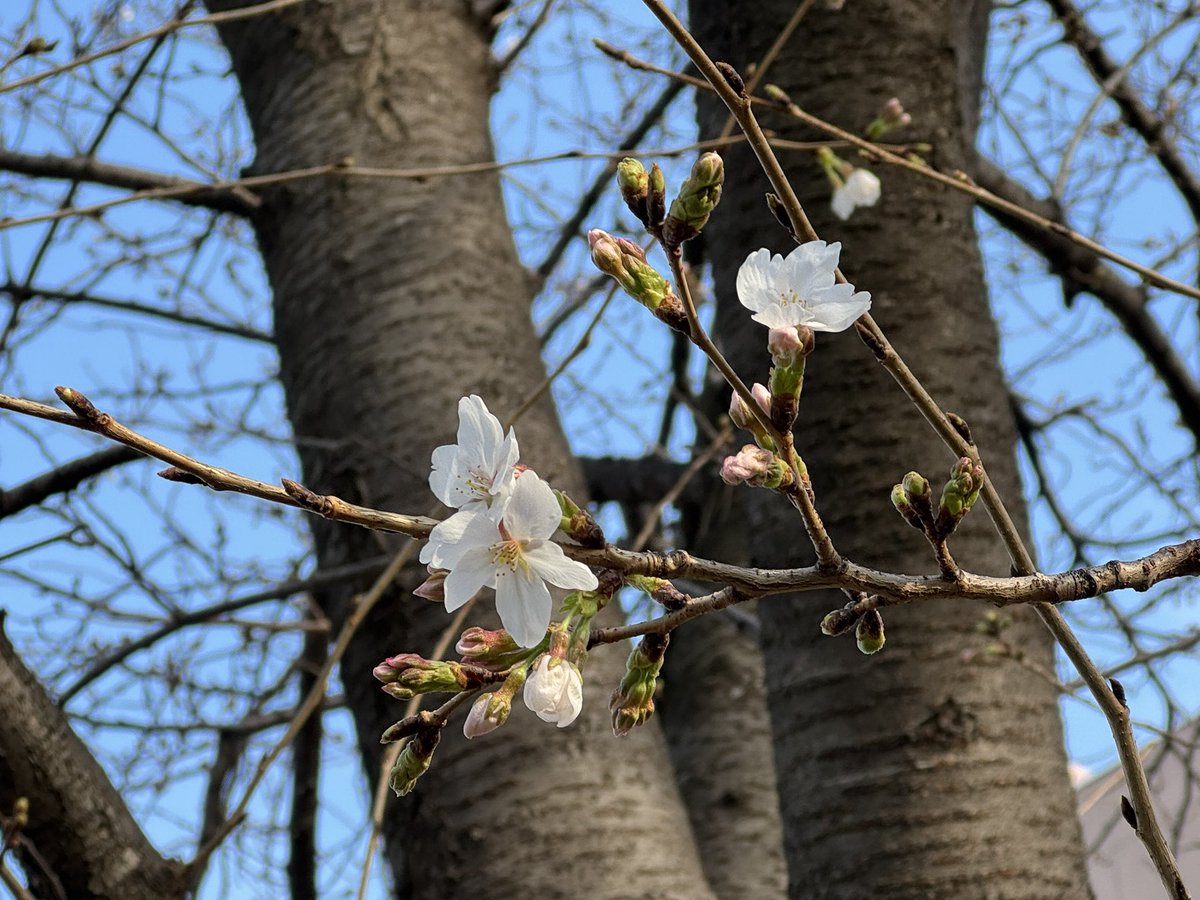 村上悠二 tweet media