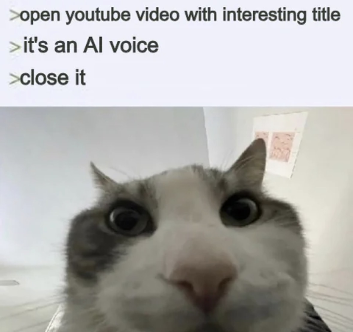 Respectful Memes tweet media