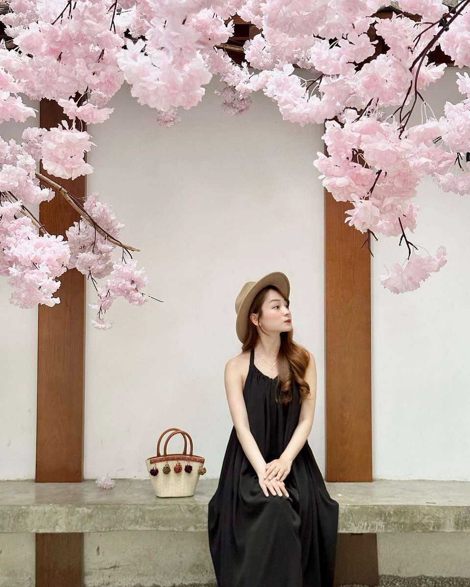 Applied Knowledge tweet media