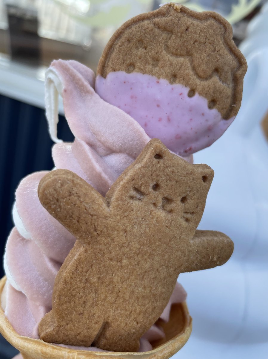 ラヴカ・ラピス💎🦈お仕事ください tweet media