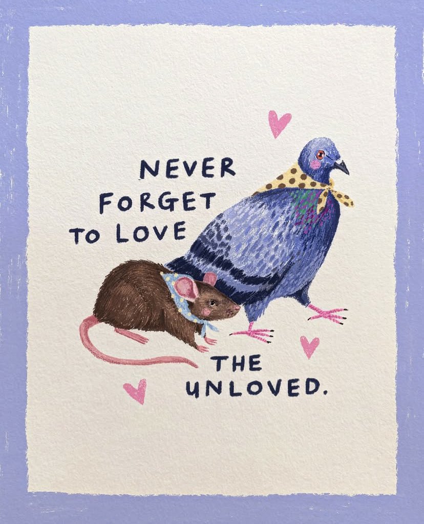 🌸 Kimberley 🌸 tweet media