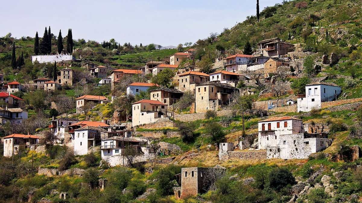 Χωρικός tweet media