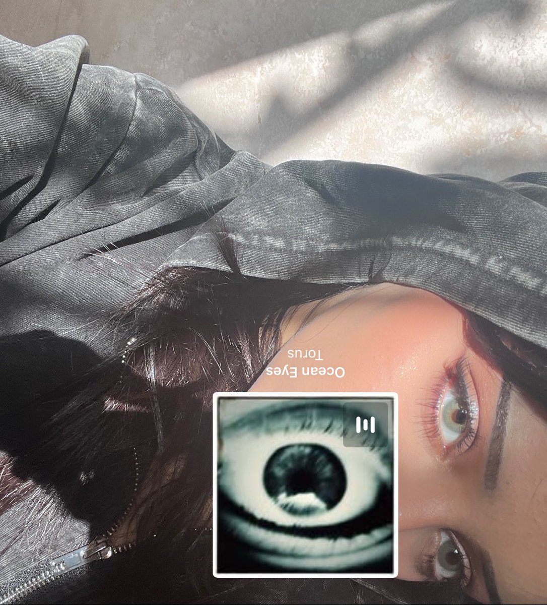 @thefreespirit tweet media