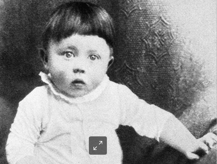 Top Troll Gun tweet media