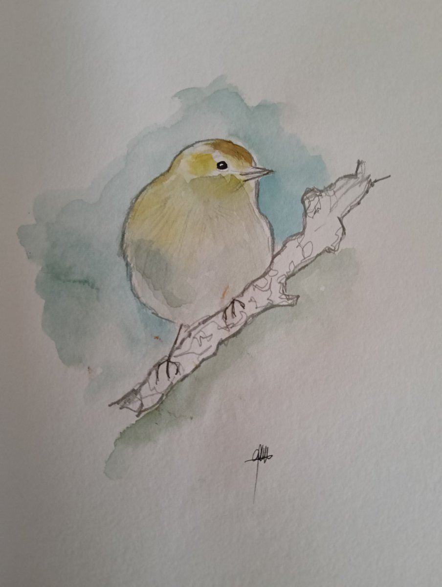 🌸💮Gessamí🌸💮 tweet media