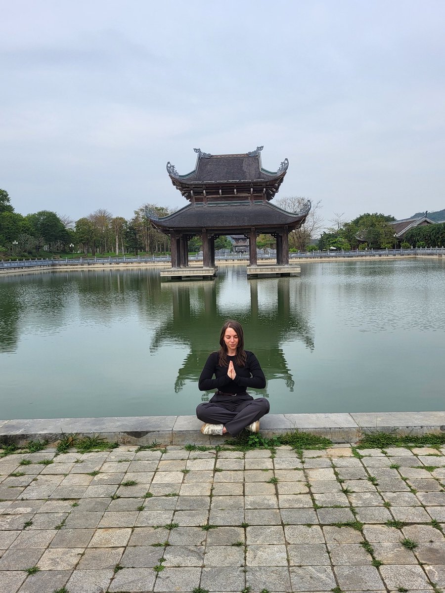 sapir federovsky tweet media