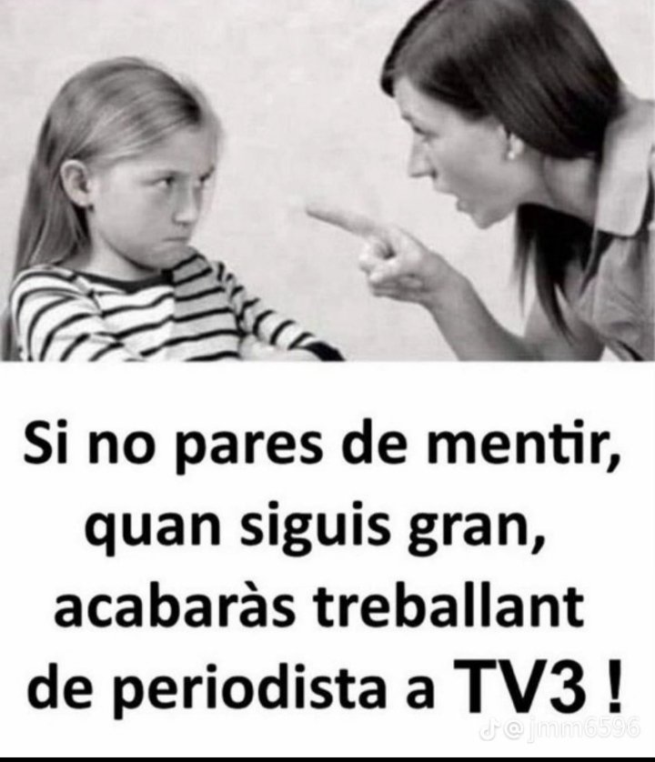 Falcó pelegrí tweet media