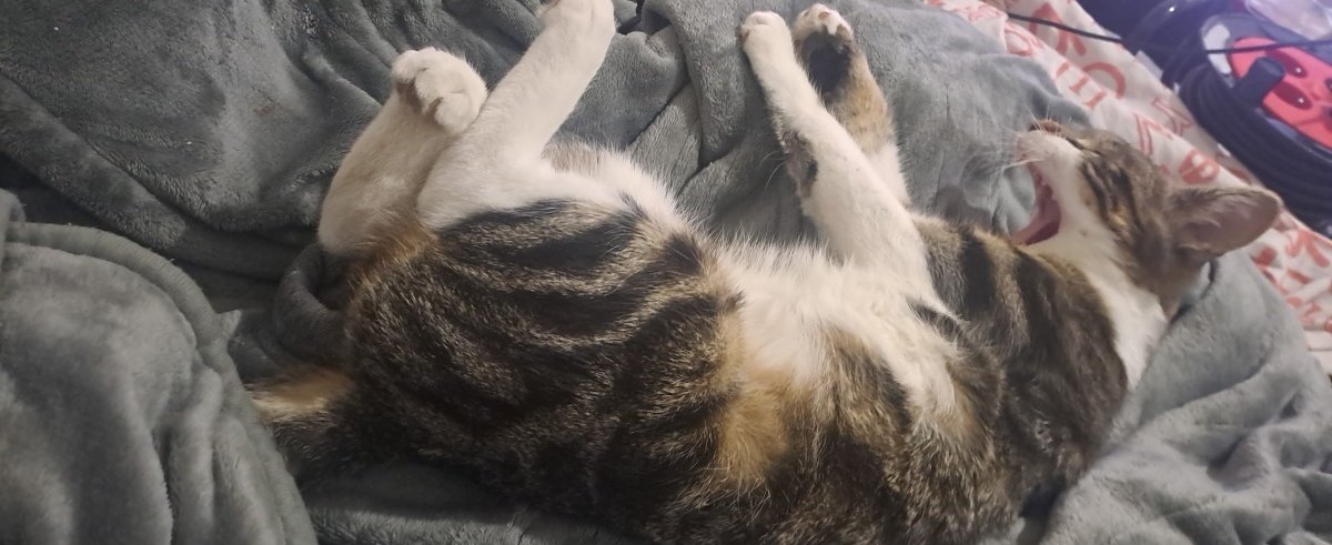 ‎ ‎ ‎ ‎ ‎ ‎ ‎ ‎ ‎ ‎ ‎ ‎ ‎ ‎ ‎ ‎ ‎ ‎ 𝗠𝗔𝗥𝗜𝗡☆ tweet media