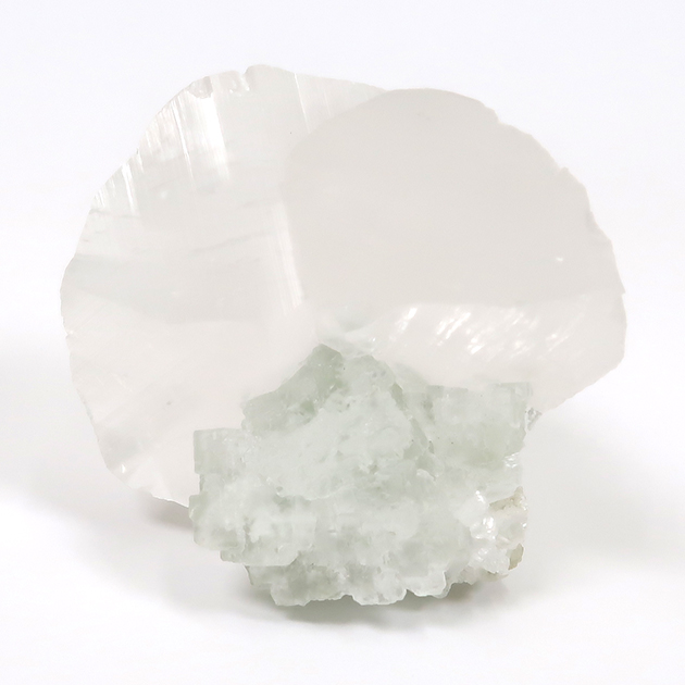 株式会社東京サイエンス tweet media