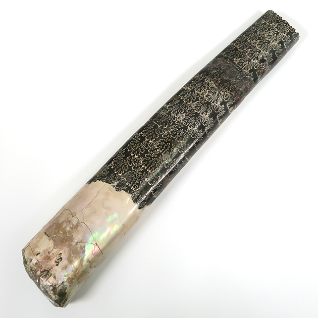 株式会社東京サイエンス tweet media