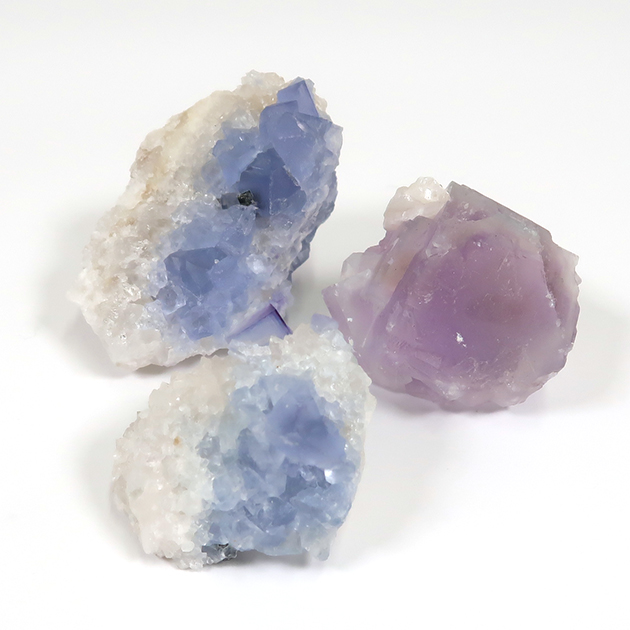 株式会社東京サイエンス tweet media