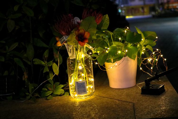 Noname Jane tweet media