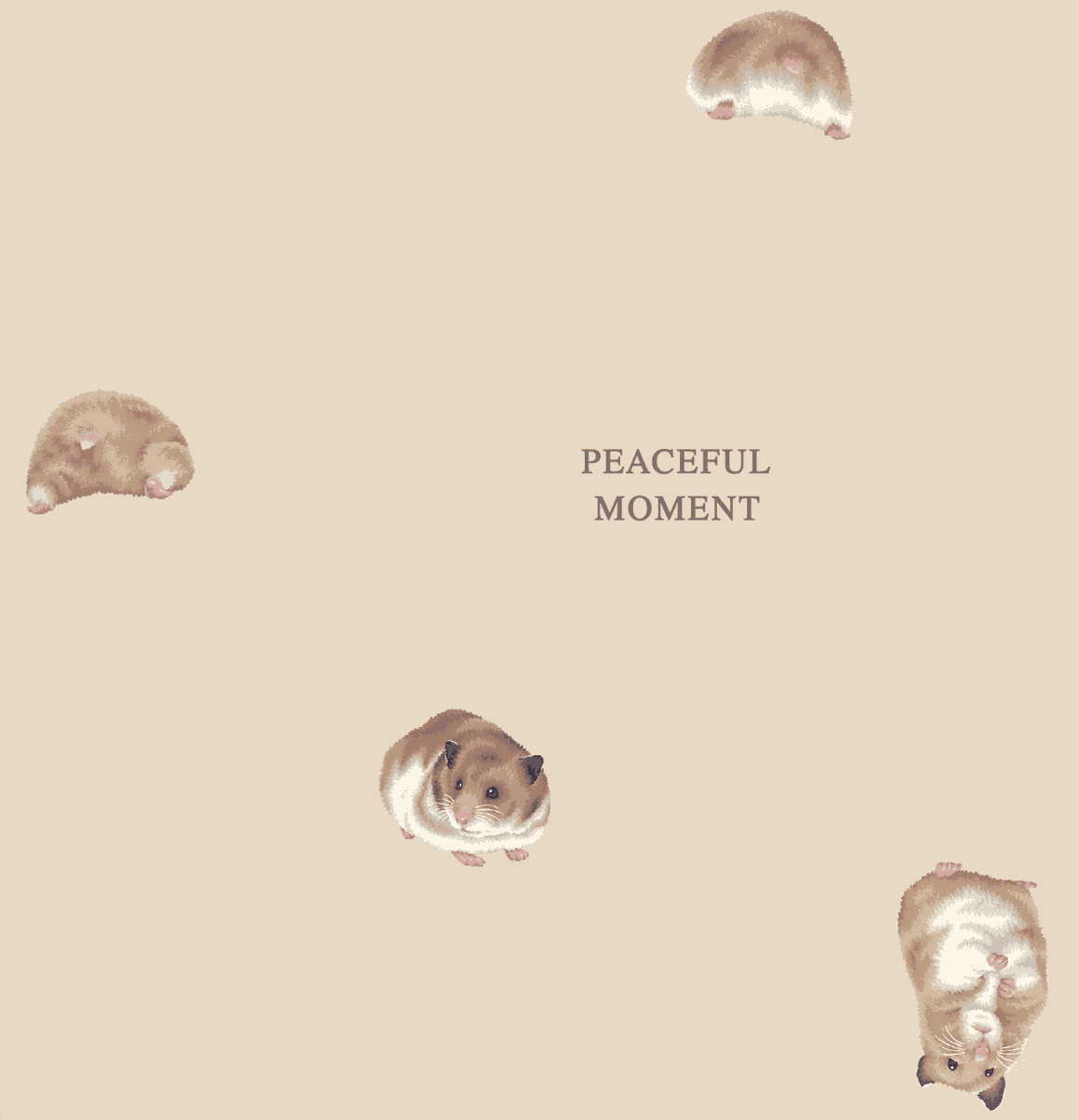 【公式】イオン北海道 tweet media