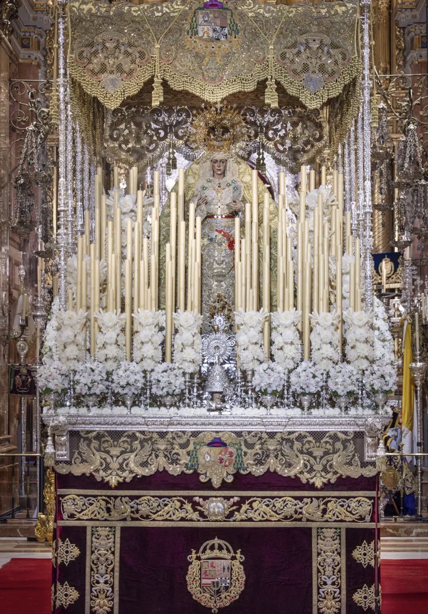 𝗣𝗲𝗱𝗿𝗼 𝗥𝗼𝗱𝗿í𝗴𝘂𝗲𝘇 🇪🇸🇮🇪 tweet media