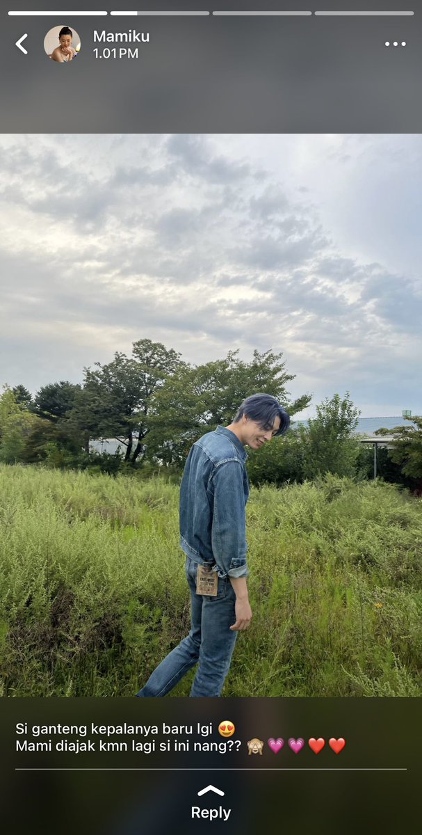 nocturne tweet media