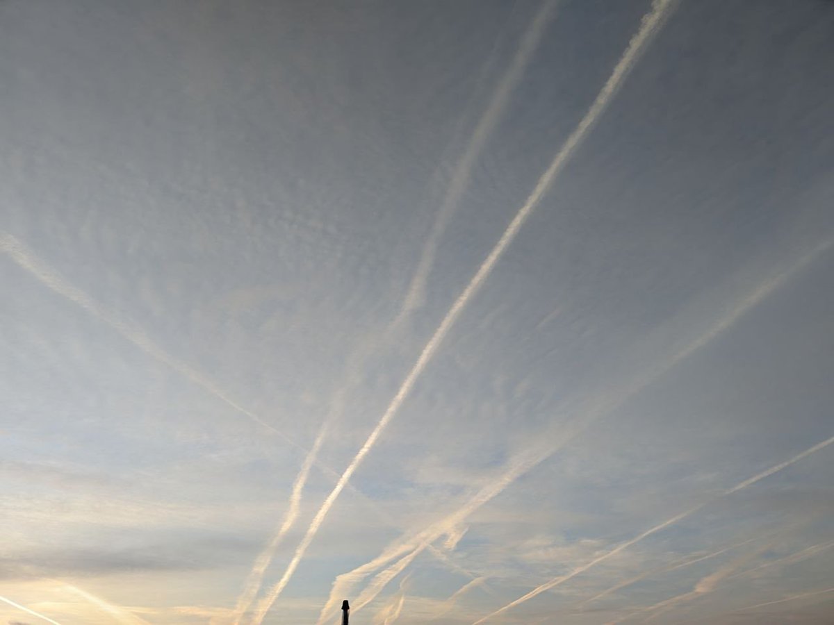 dr.volltreffer tweet media