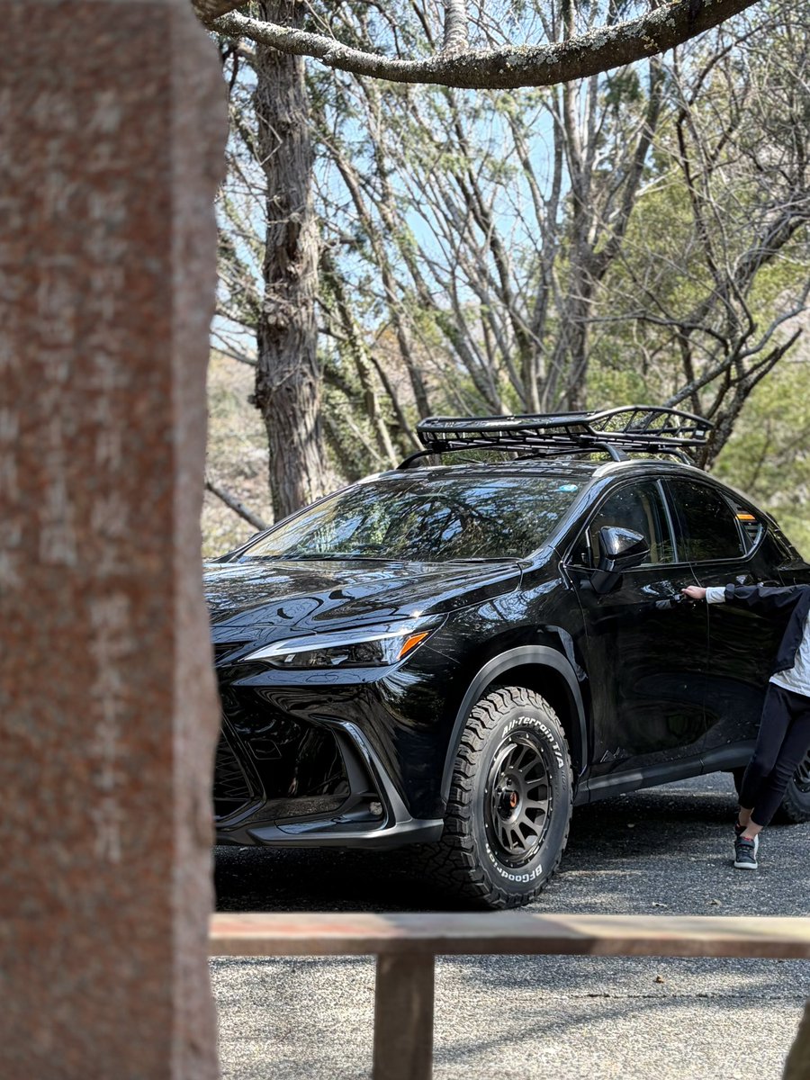 ﾄｯﾃｨ tweet media