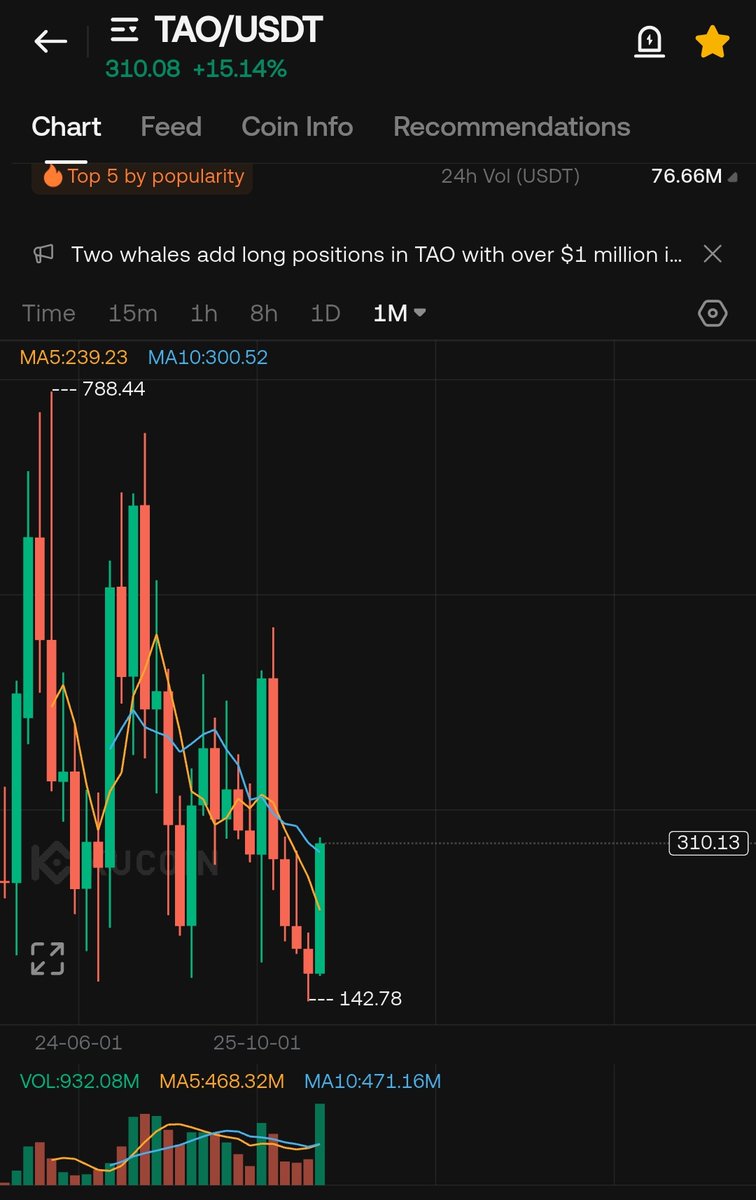 WIZZ🥷 ( beware scammers ) tweet media