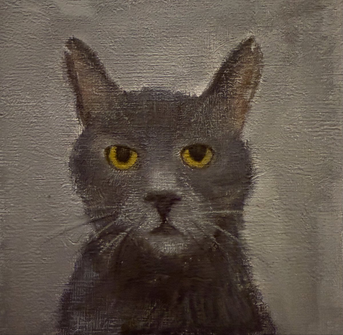 Sarah Evans tweet media