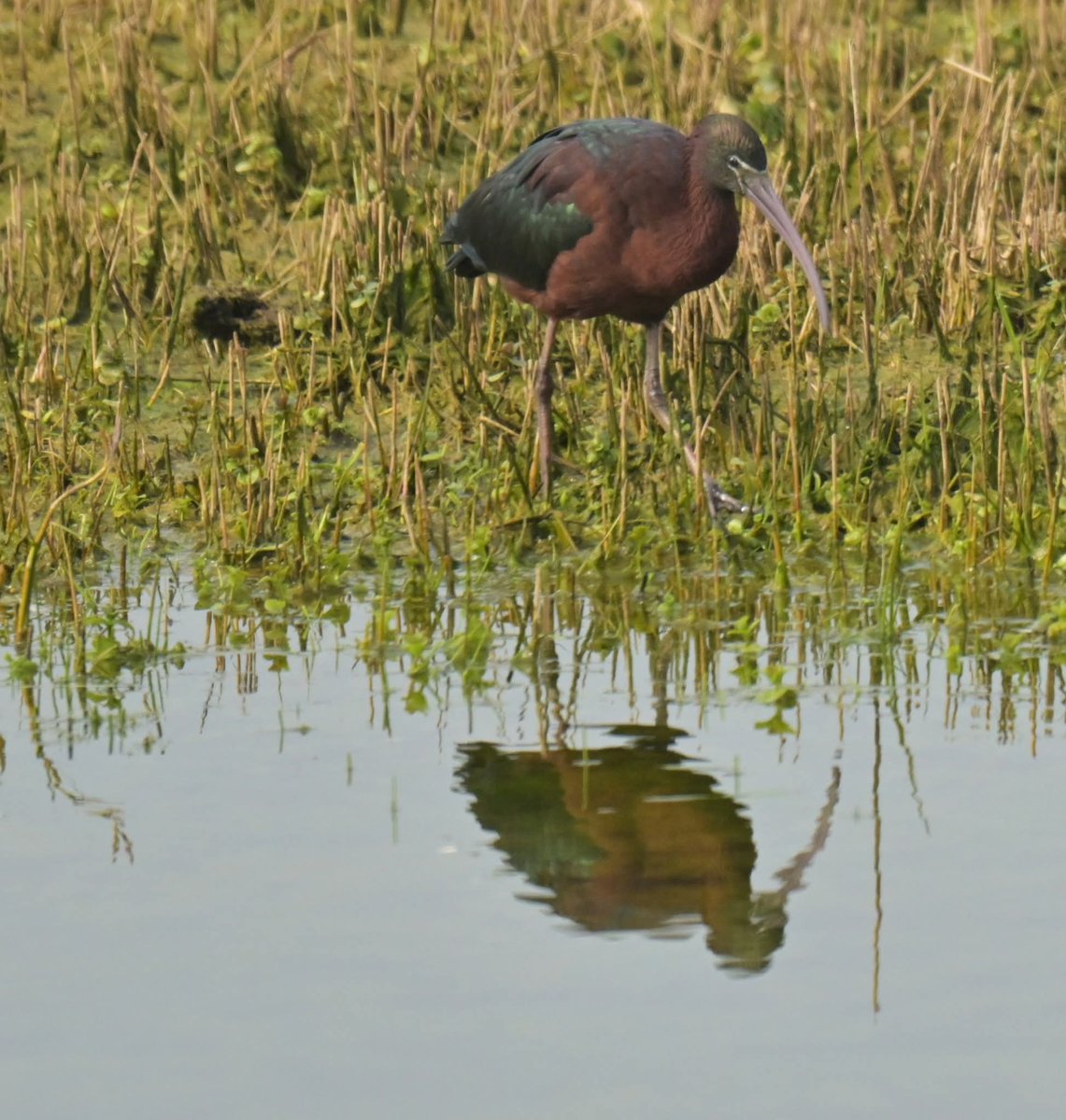 stuart j mundy tweet media