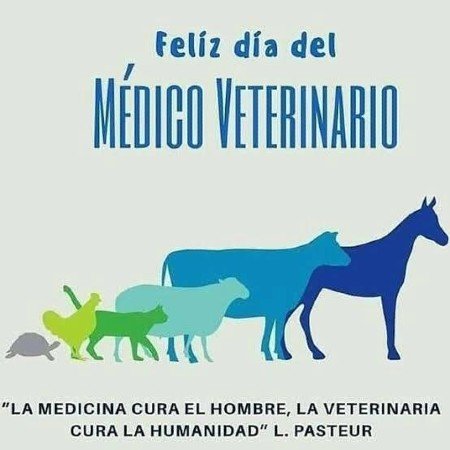 Centro Nacional de Sanidad Animal (CENASA) tweet media