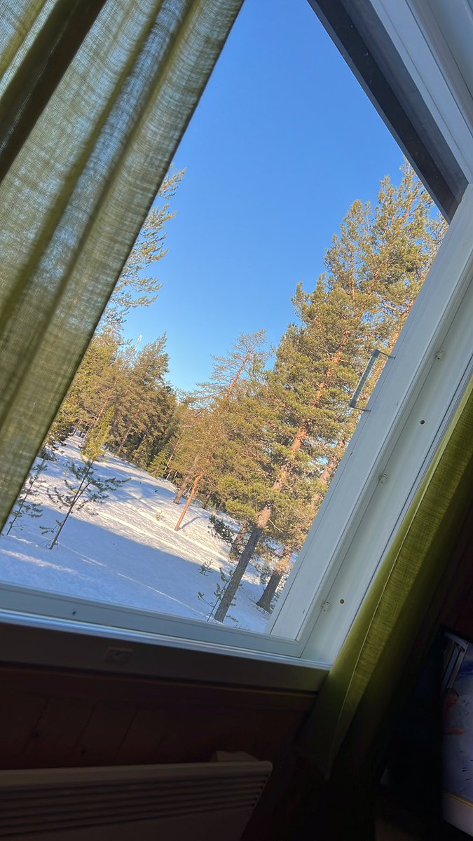 Mika Treuthardt tweet media